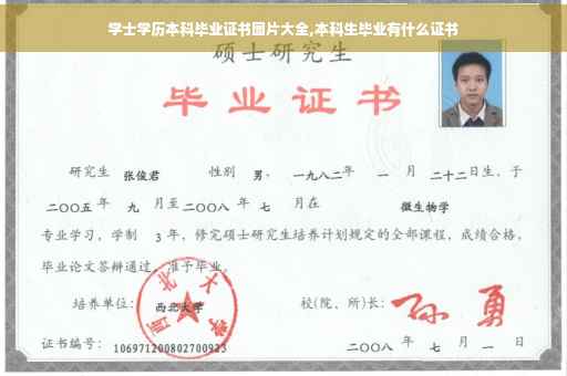 学士学历本科毕业证书图片大全,本科生毕业有什么证书