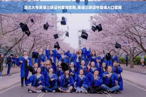 湖北大专英语三级证书查询官网,英语三级证书查询入口官网