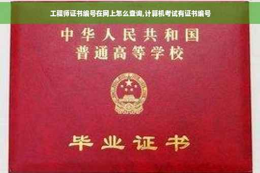 工程师证书编号在网上怎么查询,计算机考试有证书编号