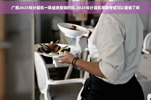 广西2023年计算机一级成绩查询时间,2023年计算机等级考试可以查询了吗 广西2023年计算机一级成绩查询时间,2023年计算机等级考试可以查询了吗