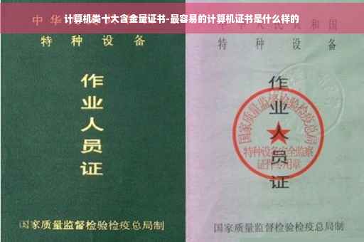 计算机类十大含金量证书-最容易的计算机证书是什么样的