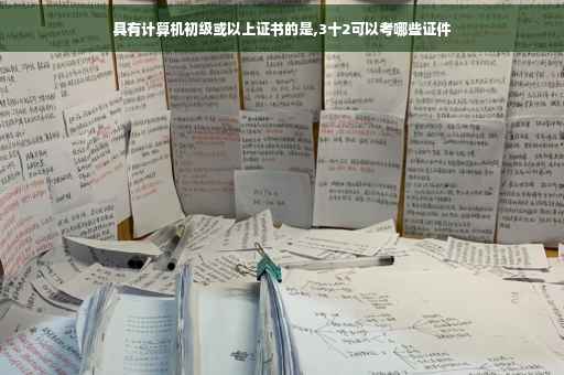 具有计算机初级或以上证书的是,3十2可以考哪些证件
