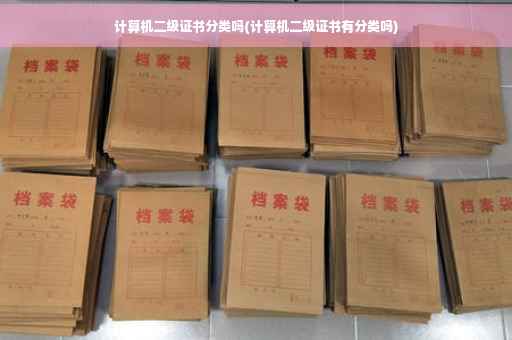 计算机二级证书分类吗(计算机二级证书有分类吗)