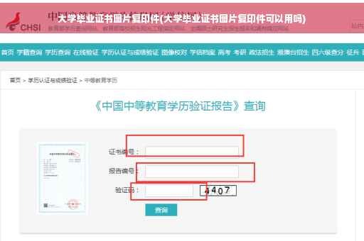 大学毕业证书图片复印件(大学毕业证书图片复印件可以用吗)