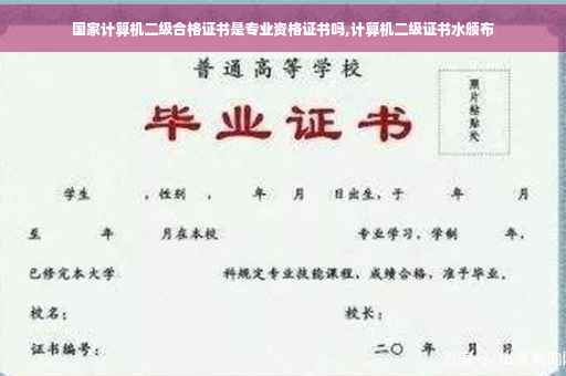国家计算机二级合格证书是专业资格证书吗,计算机二级证书水颁布
