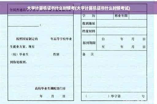 大学计算机证书什么时候考(大学计算机证书什么时候考试)