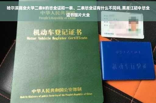 哈尔滨商业大学二表B的毕业证和一表、二表毕业证有什么不同吗,黑龙江初中毕业证书图片大全