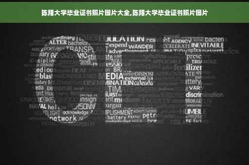 陈翔大学毕业证书照片图片大全,陈翔大学毕业证书照片图片