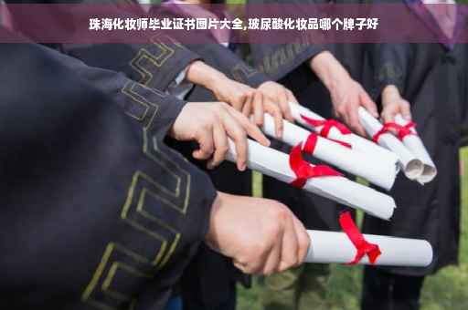 珠海化妆师毕业证书图片大全,玻尿酸化妆品哪个牌子好