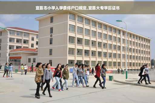 宜昌市小学入学条件户口规定,宜昌大专学历证书