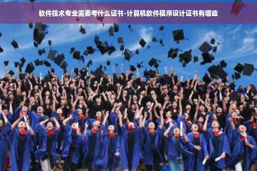 软件技术专业需要考什么证书-计算机软件程序设计证书有哪些
