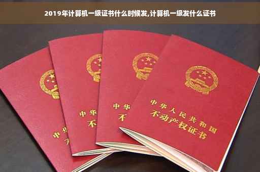 2019年计算机一级证书什么时候发,计算机一级发什么证书
