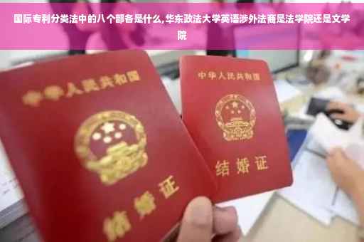 国际专利分类法中的八个部各是什么,华东政法大学英语涉外法商是法学院还是文学院