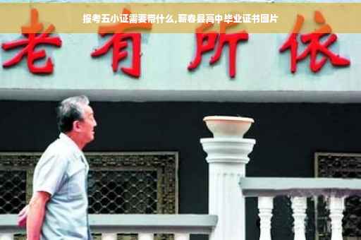 报考五小证需要带什么,蕲春县高中毕业证书图片