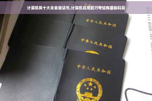 计算机类十大含金量证书,计算机应用能力考试有哪些科目