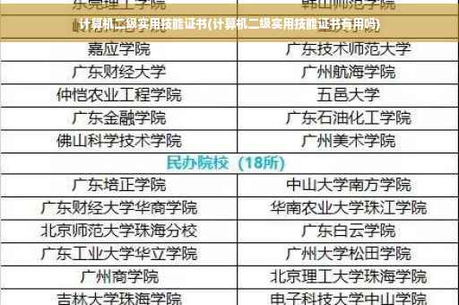 计算机二级实用技能证书(计算机二级实用技能证书有用吗)