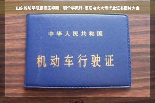 山东潍坊学院跟枣庄学院，哪个学风好-枣庄电大大专毕业证书图片大全