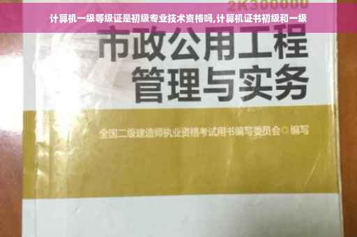 计算机一级等级证是初级专业技术资格吗,计算机证书初级和一级