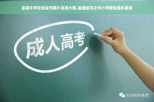巢县中学毕业证书图片高清大图,巢湖城市之光小学新生报名要求