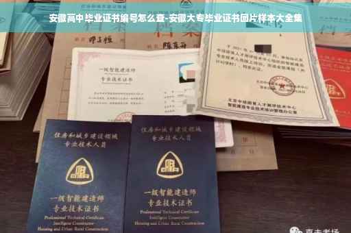 安徽高中毕业证书编号怎么查-安徽大专毕业证书图片样本大全集