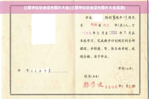 三等学位毕业证书图片大全(三等学位毕业证书图片大全高清)