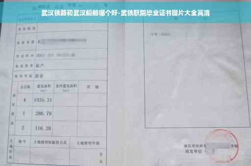 武汉铁路和武汉船舶哪个好-武铁职院毕业证书图片大全高清