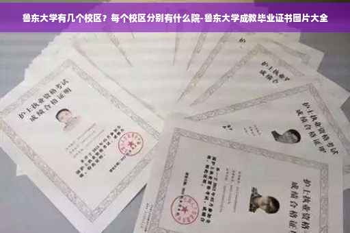 鲁东大学有几个校区？每个校区分别有什么院-鲁东大学成教毕业证书图片大全