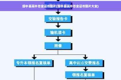 绥中县高中毕业证书图片(绥中县高中毕业证书图片大全)