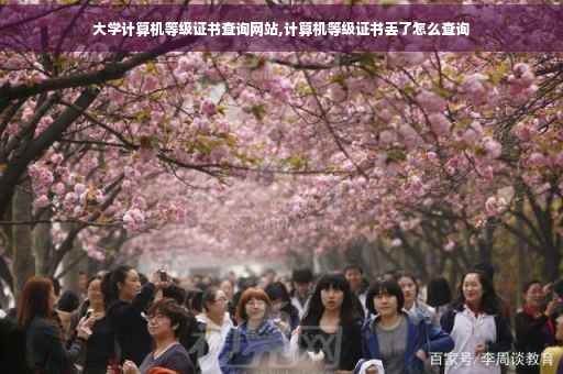 大学计算机等级证书查询网站,计算机等级证书丢了怎么查询