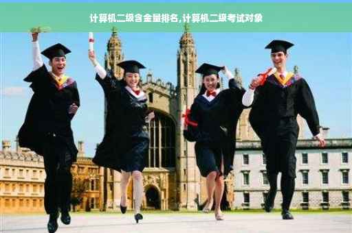 计算机二级含金量排名,计算机二级考试对象 计算机二级含金量排名,计算机二级考试对象