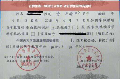计算机省一级是什么意思-省计算机证书有用吗