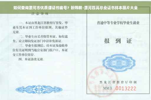 如何查询漯河市优质课证书编号？盼赐教-漯河四高毕业证书样本图片大全