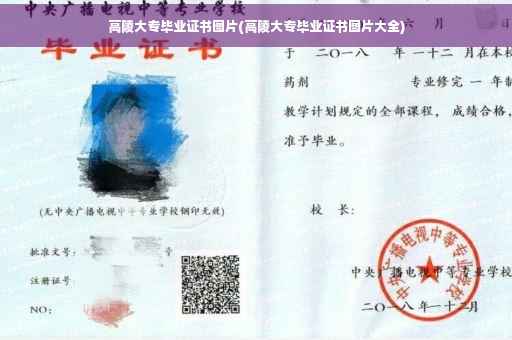 高陵大专毕业证书图片(高陵大专毕业证书图片大全)