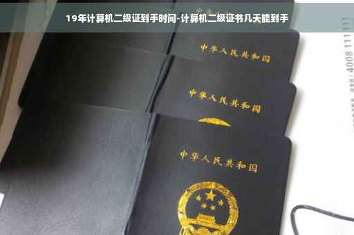 19年计算机二级证到手时间-计算机二级证书几天能到手