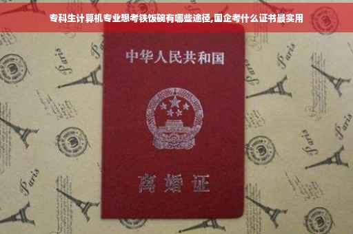 专科生计算机专业想考铁饭碗有哪些途径,国企考什么证书最实用