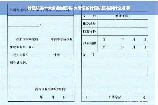 计算机类十大含金量证书-大专拿的计算机证书叫什么名字