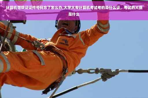 计算机等级证证件号码忘了怎么办,大学大专计算机考试考的是什么证，考试的大纲是什么