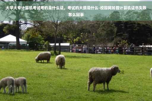 大学大专计算机考试考的是什么证，考试的大纲是什么-校园网加载计算机证书失败怎么回事