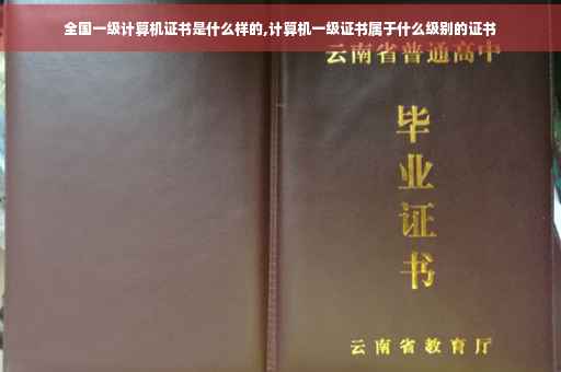 全国一级计算机证书是什么样的,计算机一级证书属于什么级别的证书