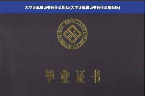 大学计算机证书有什么用处(大学计算机证书有什么用处吗)