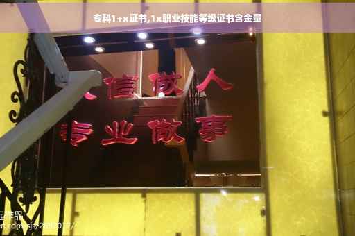 专科1+x证书,1x职业技能等级证书含金量