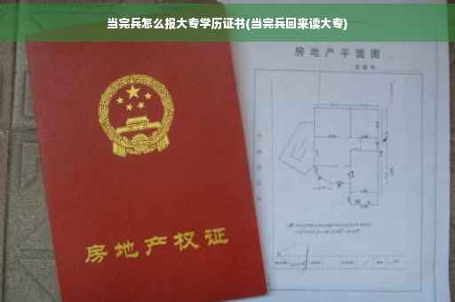 当完兵怎么报大专学历证书(当完兵回来读大专)