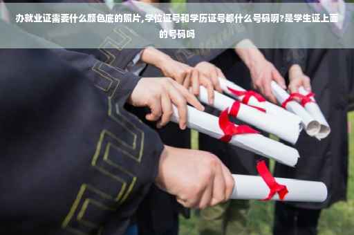 办就业证需要什么颜色底的照片,学位证号和学历证号都什么号码啊?是学生证上面的号码吗