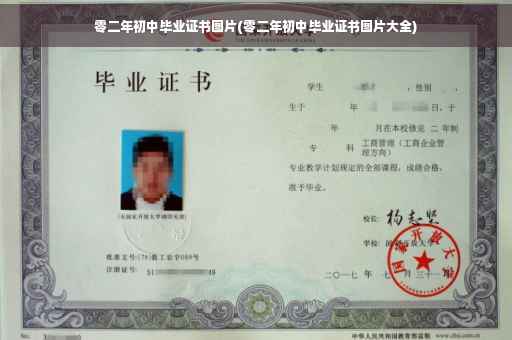 零二年初中毕业证书图片(零二年初中毕业证书图片大全)