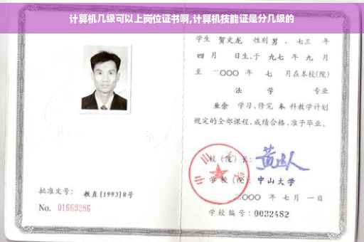 计算机几级可以上岗位证书啊,计算机技能证是分几级的
