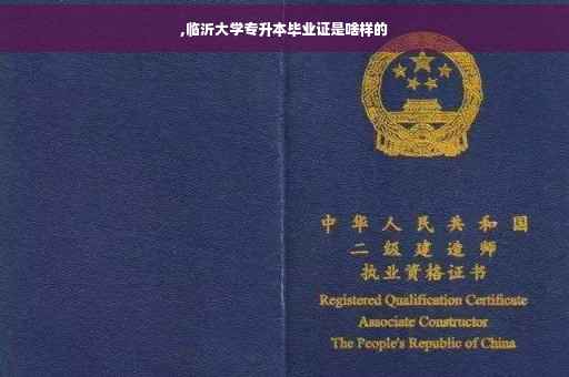 ,临沂大学专升本毕业证是啥样的