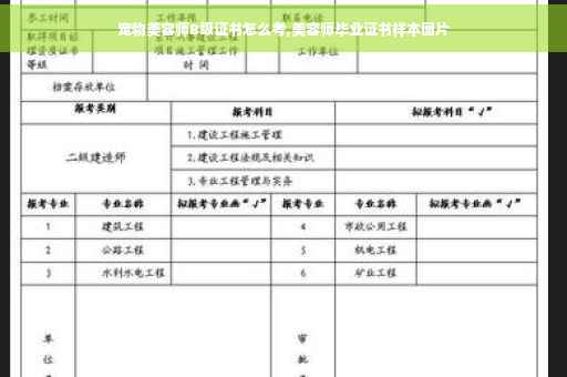 宠物美容师B级证书怎么考,美容师毕业证书样本图片