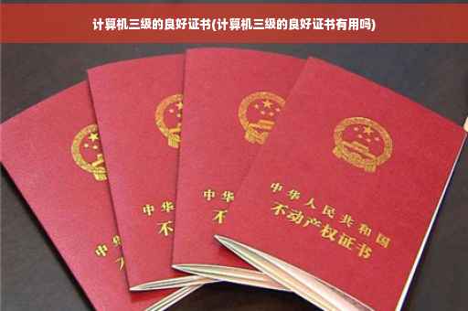 计算机三级的良好证书(计算机三级的良好证书有用吗)