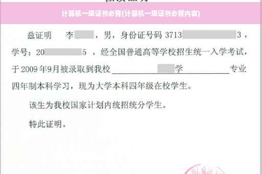 计算机一级证书必背(计算机一级证书必背内容)