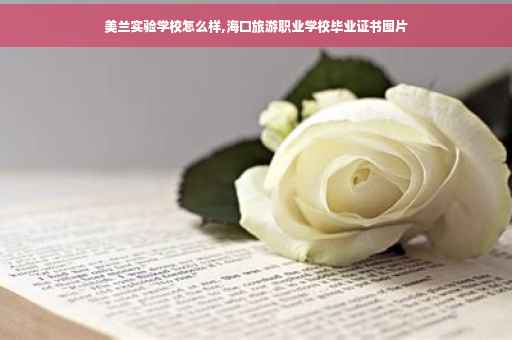 美兰实验学校怎么样,海口旅游职业学校毕业证书图片